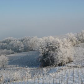 The winter view